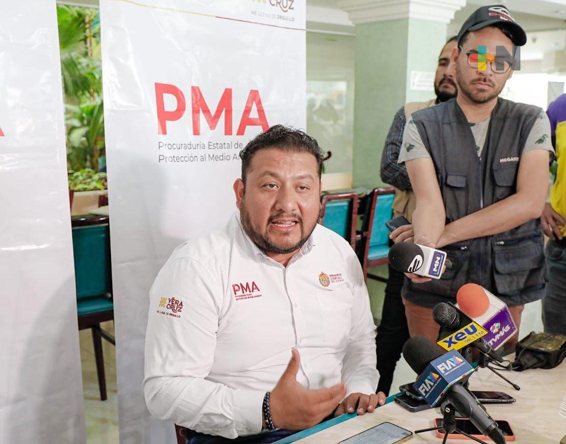 Con reforestación, limpieza y reciclaje, inicia la Semana del Medio Ambiente: PMA