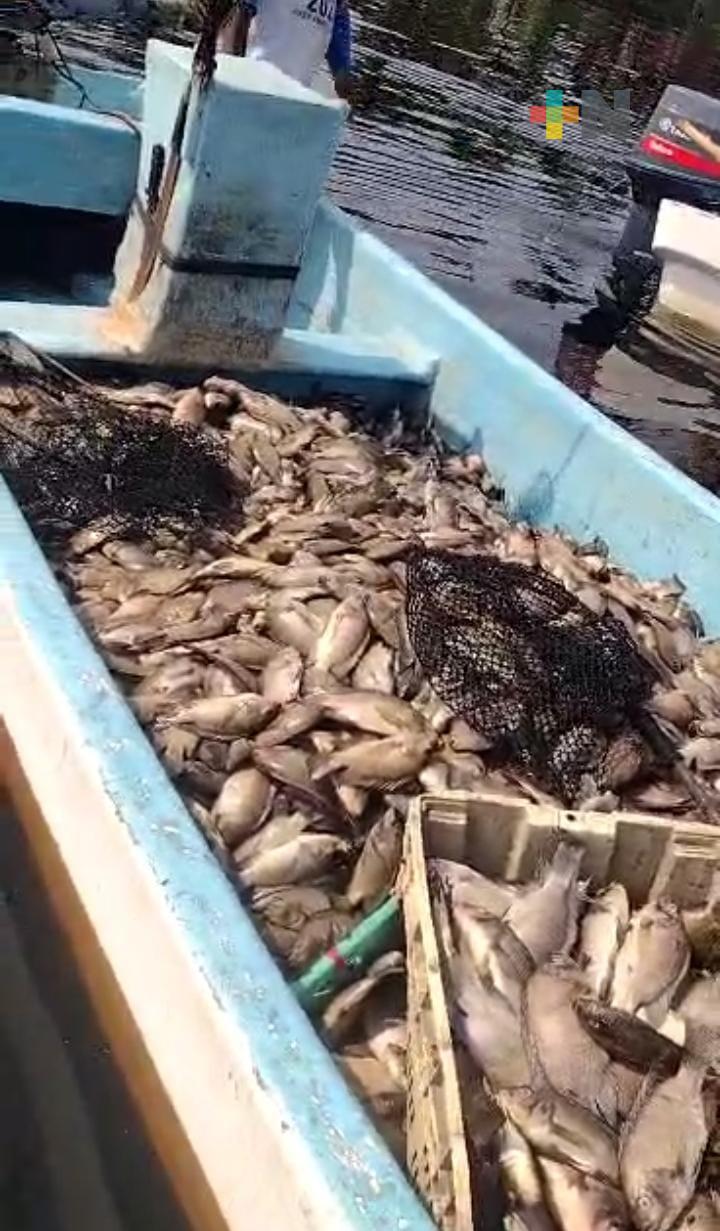 Atenderá PMA caso de mortandad de peces en río Actopan