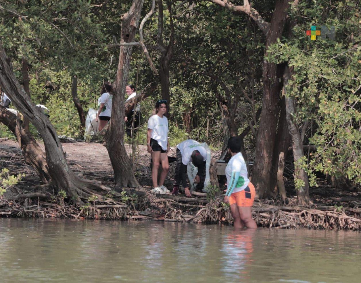 Encabeza la PMA limpieza de manglares en Laguna de Mandinga
