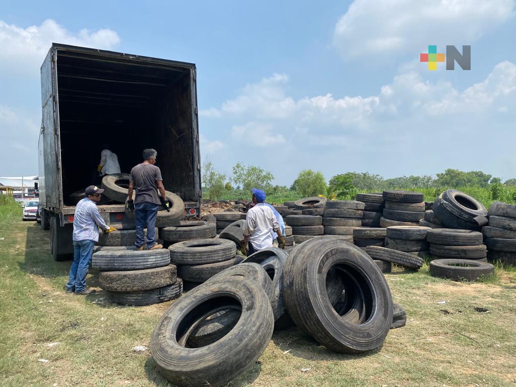 Acopian 25 toneladas de llantas que no dañan el medio ambiente en Minatitlán