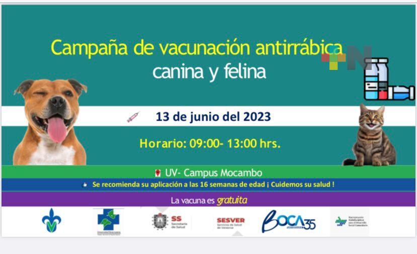 Anuncia UV jornadas de vacunación antirrábica en Veracruz y Boca del Río