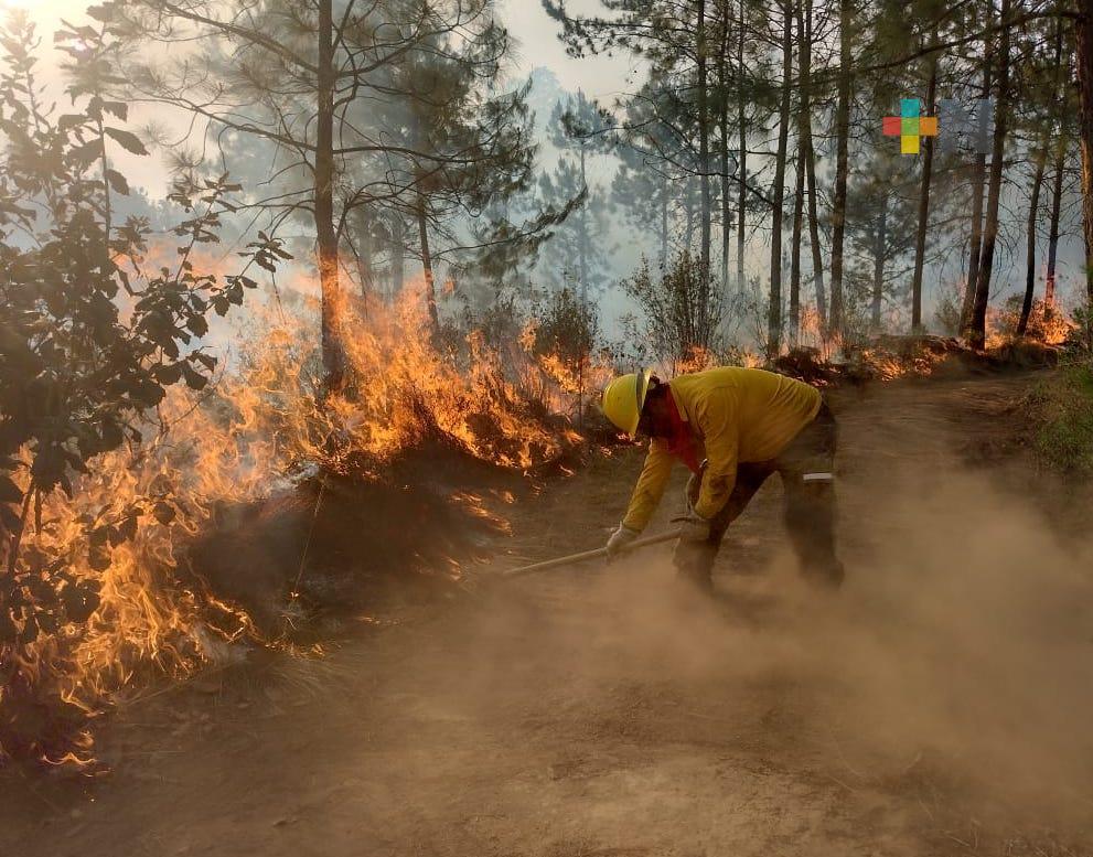 PC Estatal atiende y monitorea incendios forestales en Perote, Las Vigas y Uxpanapa