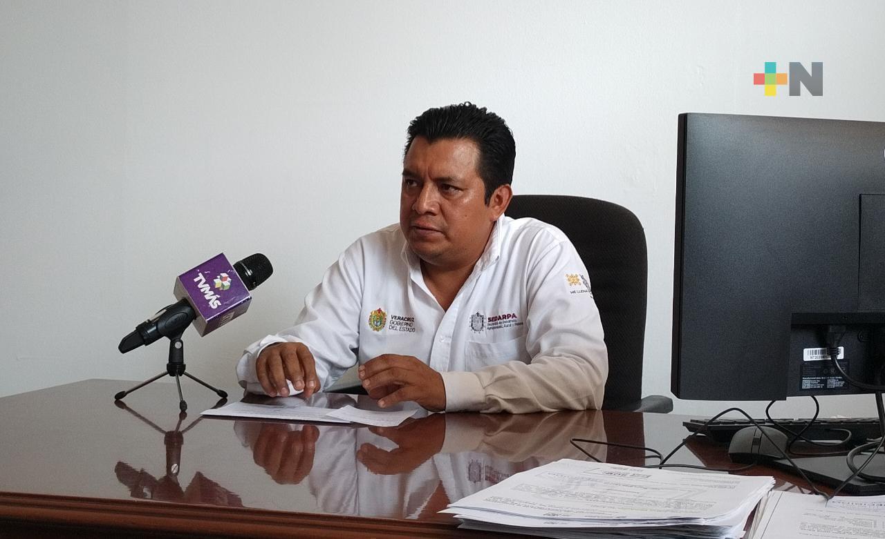 Jornadas de consumo solidario fomentan el consumo local: Sedarpa