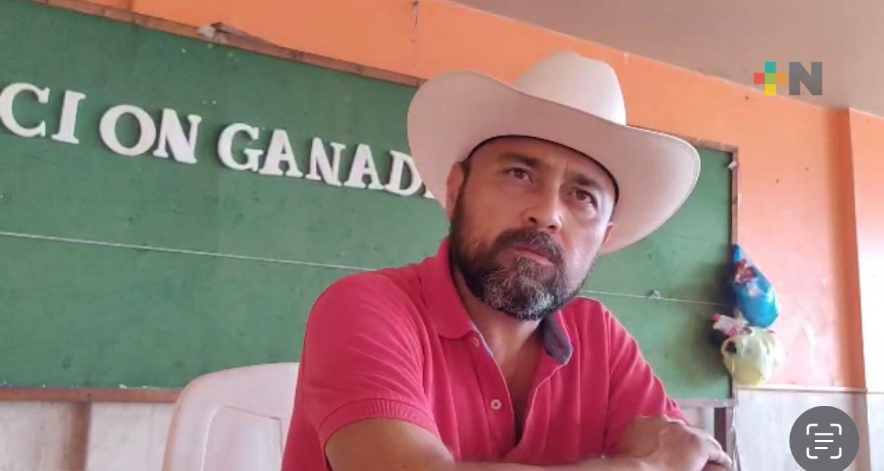 Estiaje provoca muerte de ganado en sur de Veracruz