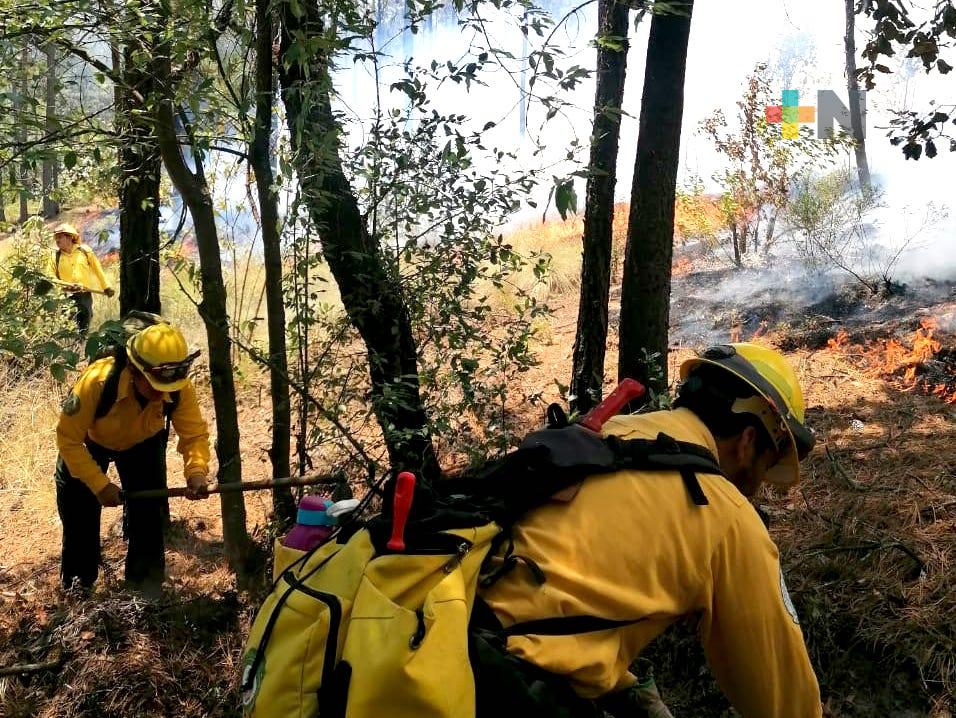 Secretaría de Protección Civil reporta 16 incendios forestales activos