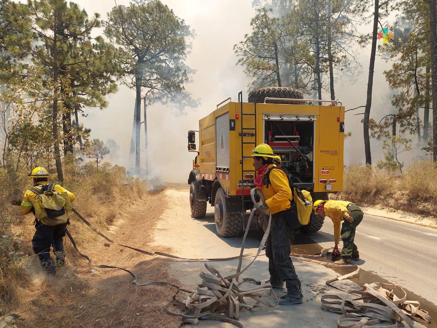 Protección Civil atiende a 20 incendios forestales, en el estado