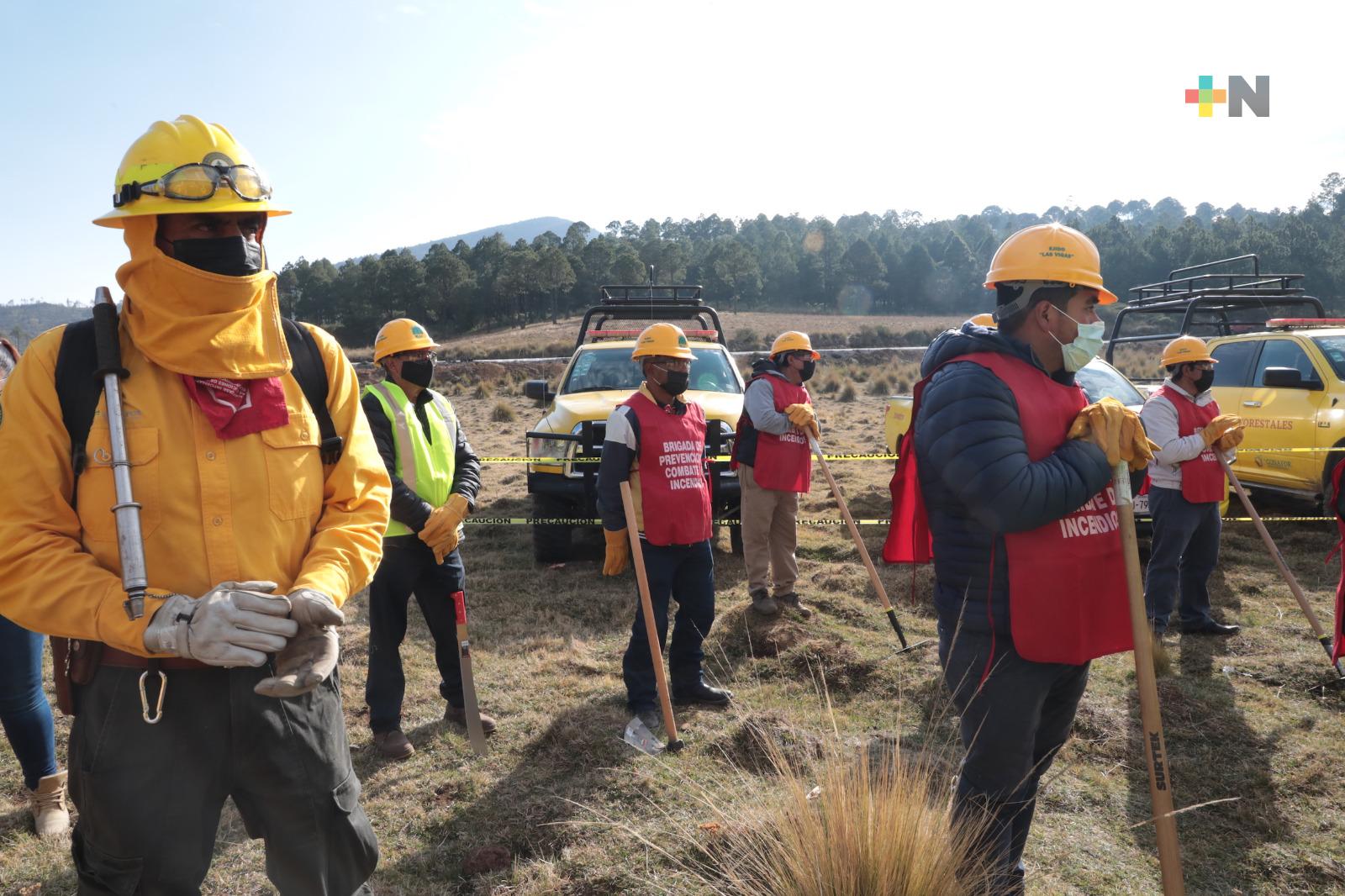 Gobierno cuenta con recursos humanos y materiales para combatir los incendios