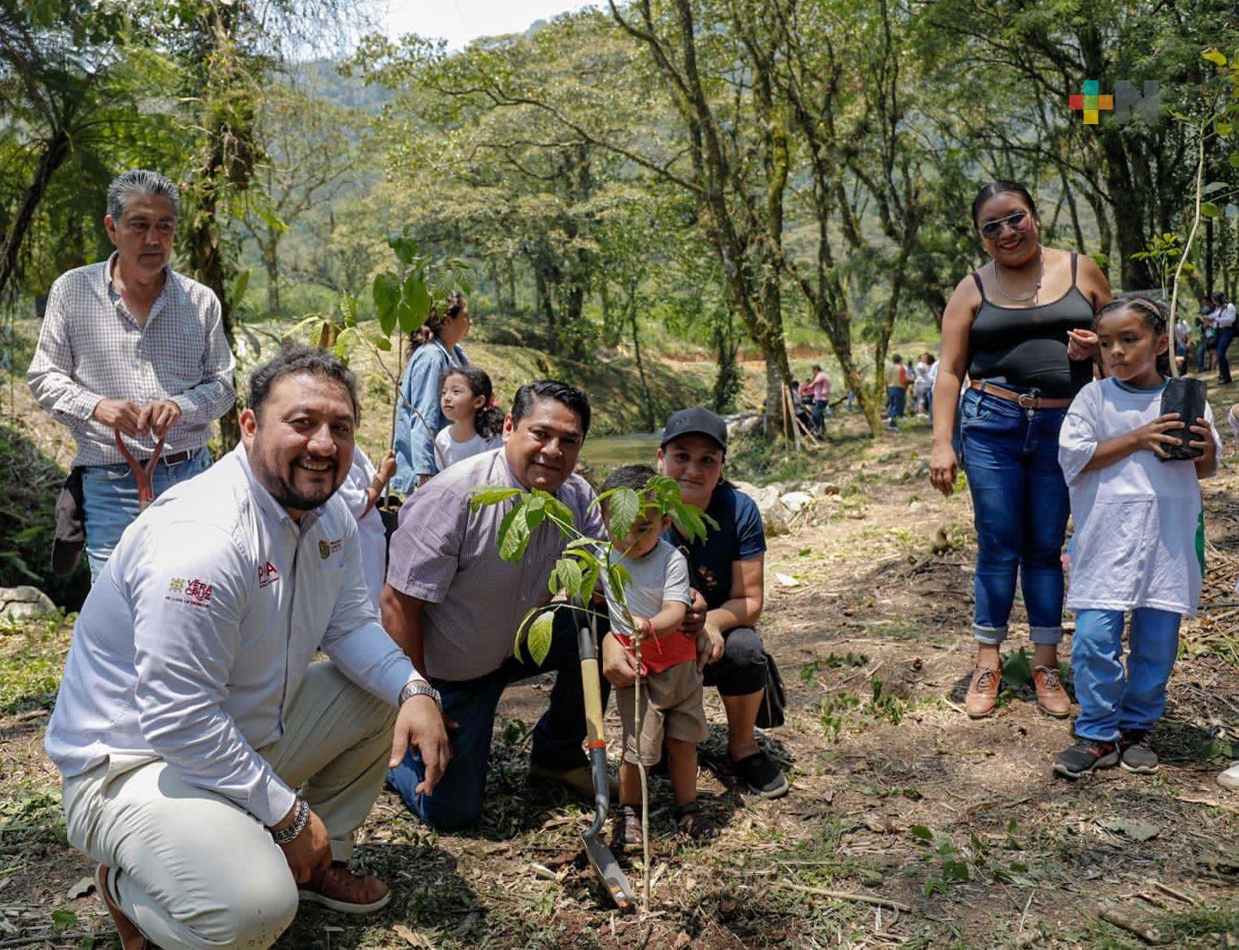 PMA realiza campaña de reforestación en el municipio de Atzacan