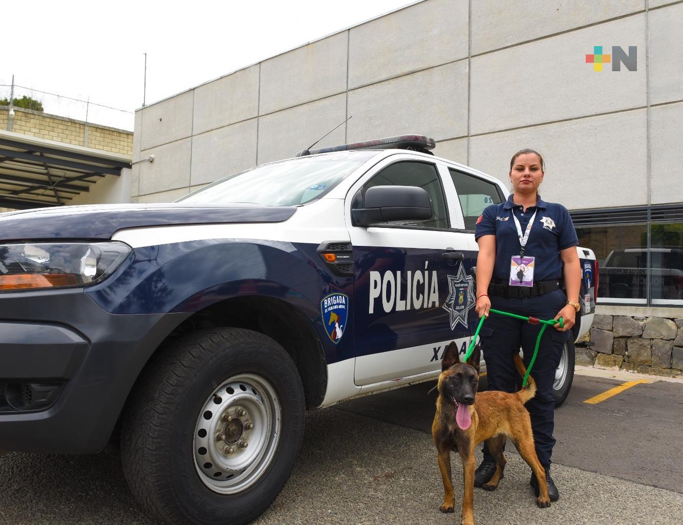 Xalapa cuenta con Brigada de Vigilancia Animal