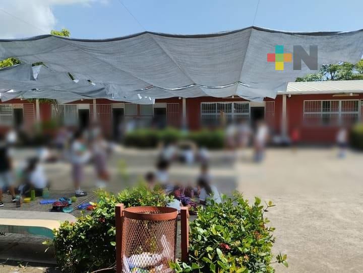 Denuncian tala de árboles de escuela primaria de Veracruz