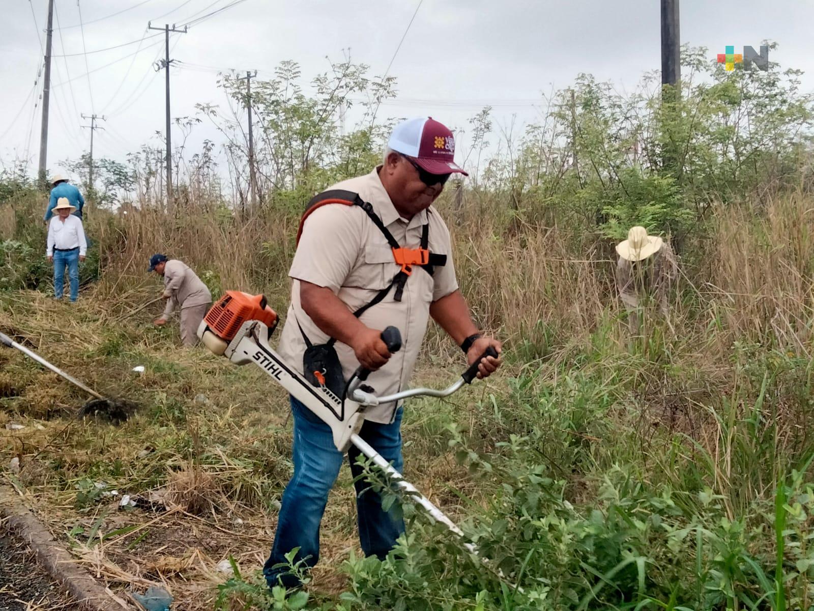 Eric Cisneros y Cuauhtémoc Zúñiga encabezan trabajos de chapeo y siembra de palmeras, en Tamarindo