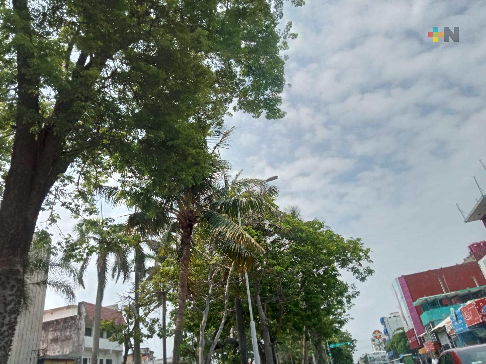 Persiste el aviso especial por frente frío norte