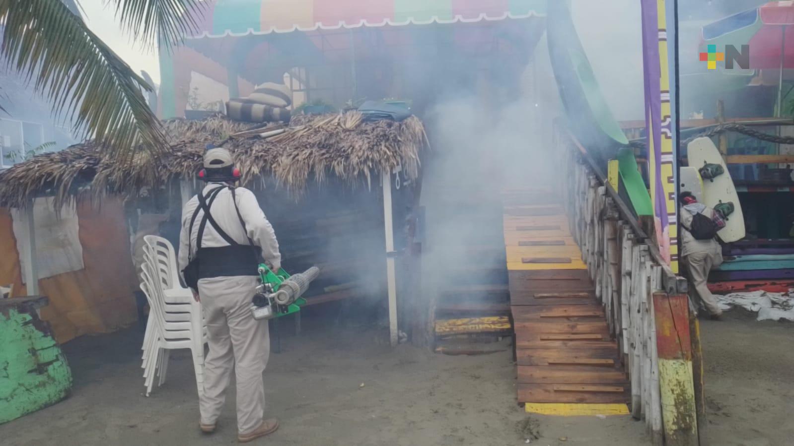 Fumigan palapas de la playa Villa del Mar