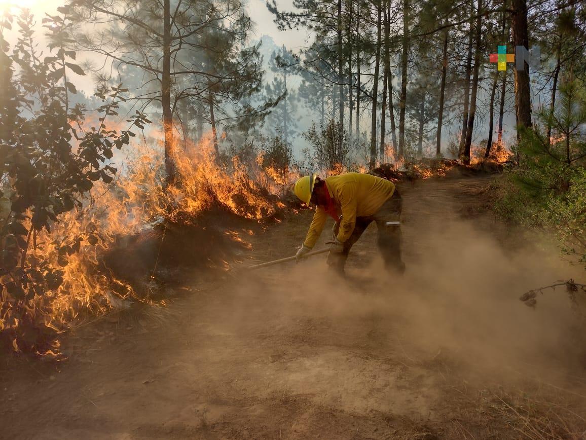 Se han registrado 160 incendios forestales, principalmente en Perote: Conafor