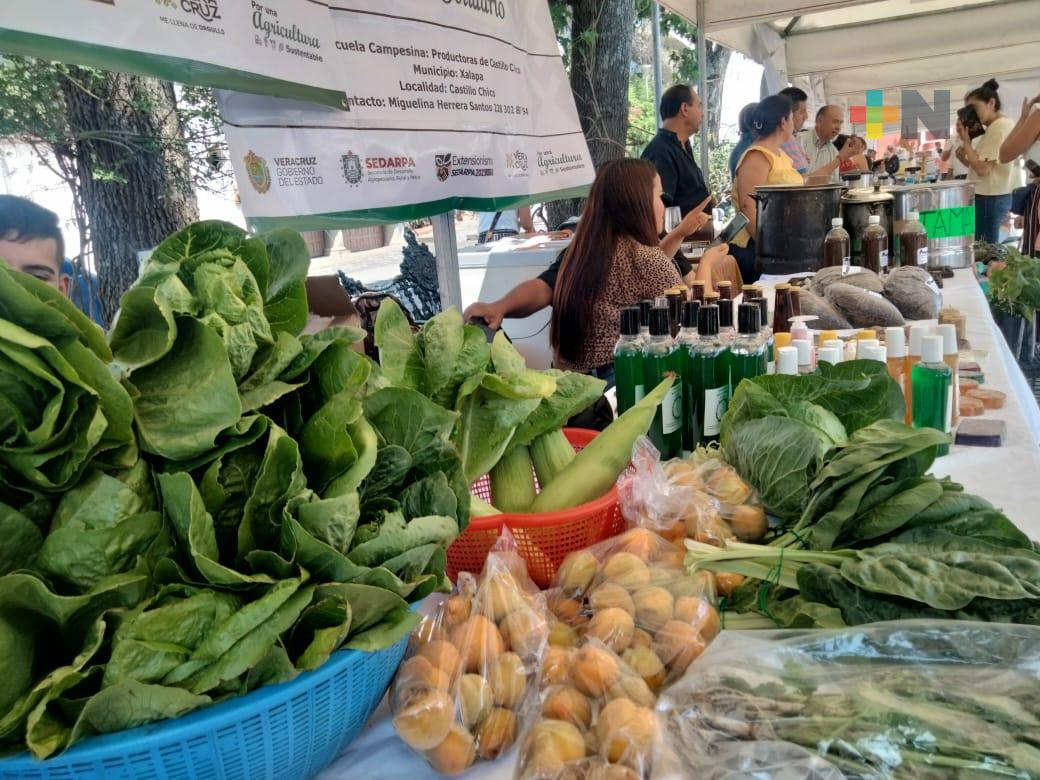 Productoras de todas las regiones llegan a Xallitic en jornada de Consumo Solidario