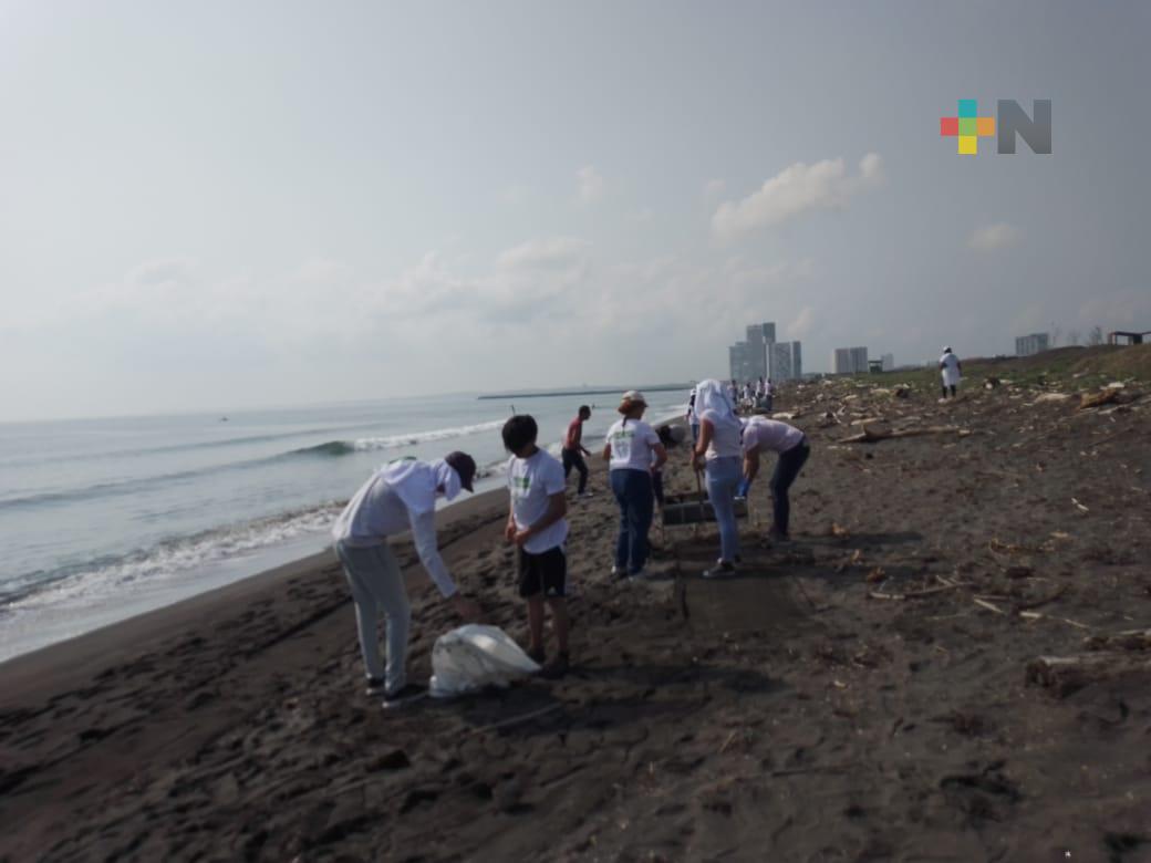 Realizan jornada de limpieza en la isla del Amor; encuentran popotes, tapas y bolsas