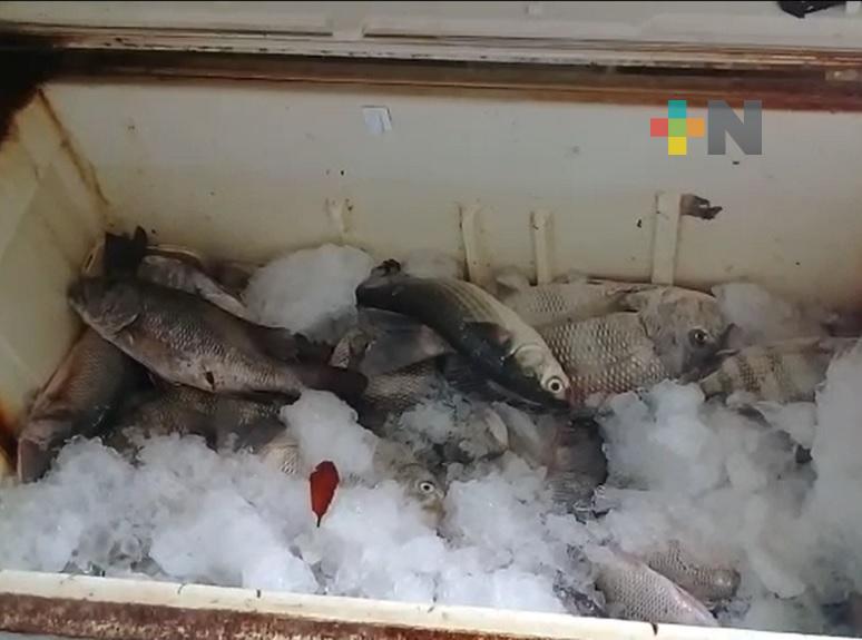 Veda afecta a pescadores de La Mata de Tampamachoco
