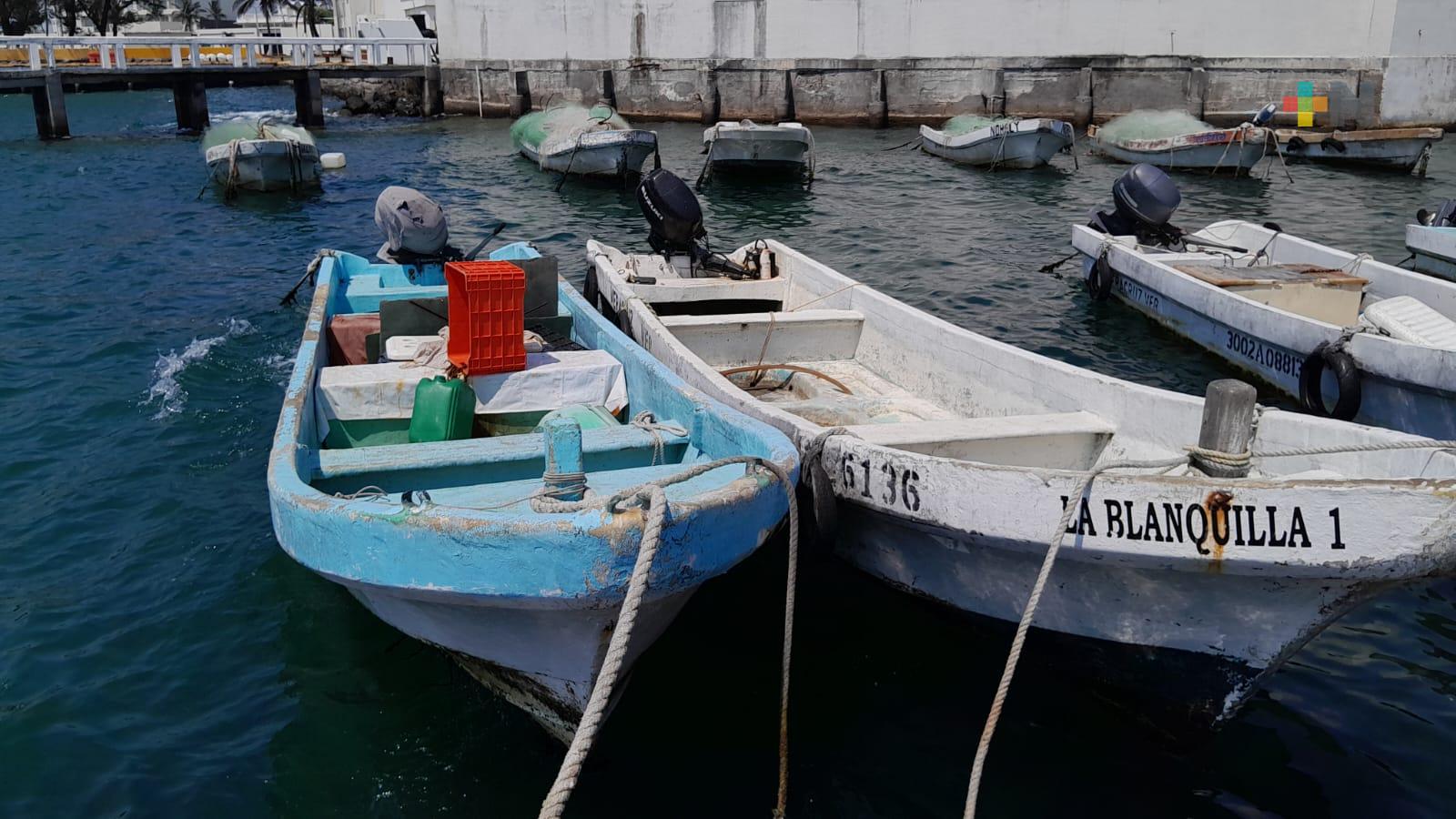 A pesar de ola de calor, pescadores sale al mar