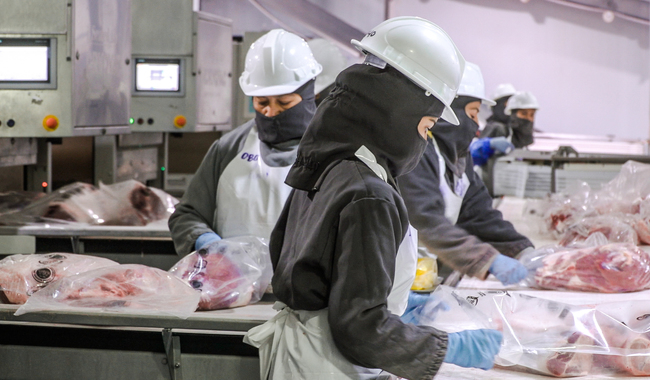 Diversifica Gobierno de México mercados agroalimentarios en países con población musulmana