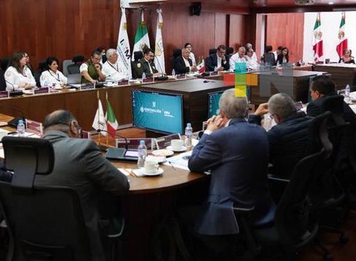 INM se reúne con ONGs, académicos y de derechos humanos