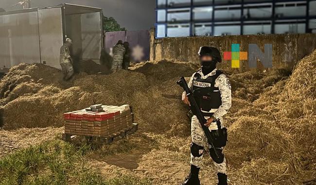 En Veracruz, Guardia Nacional asegura 240 paquetes de cocaína ocultos en tráiler cargado con paja