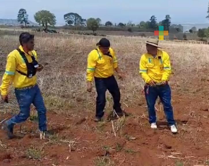 Conafor lleva a cabo prevención de incendios forestales en sierra norte de Veracruz