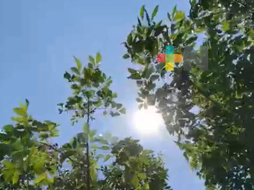 Faltan sobres de suero en centros de salud de Tuxpan