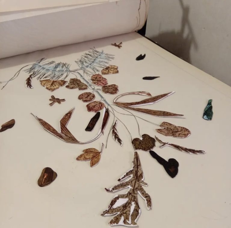 Invita el recinto más verde del IVEC al taller de estampa botánica