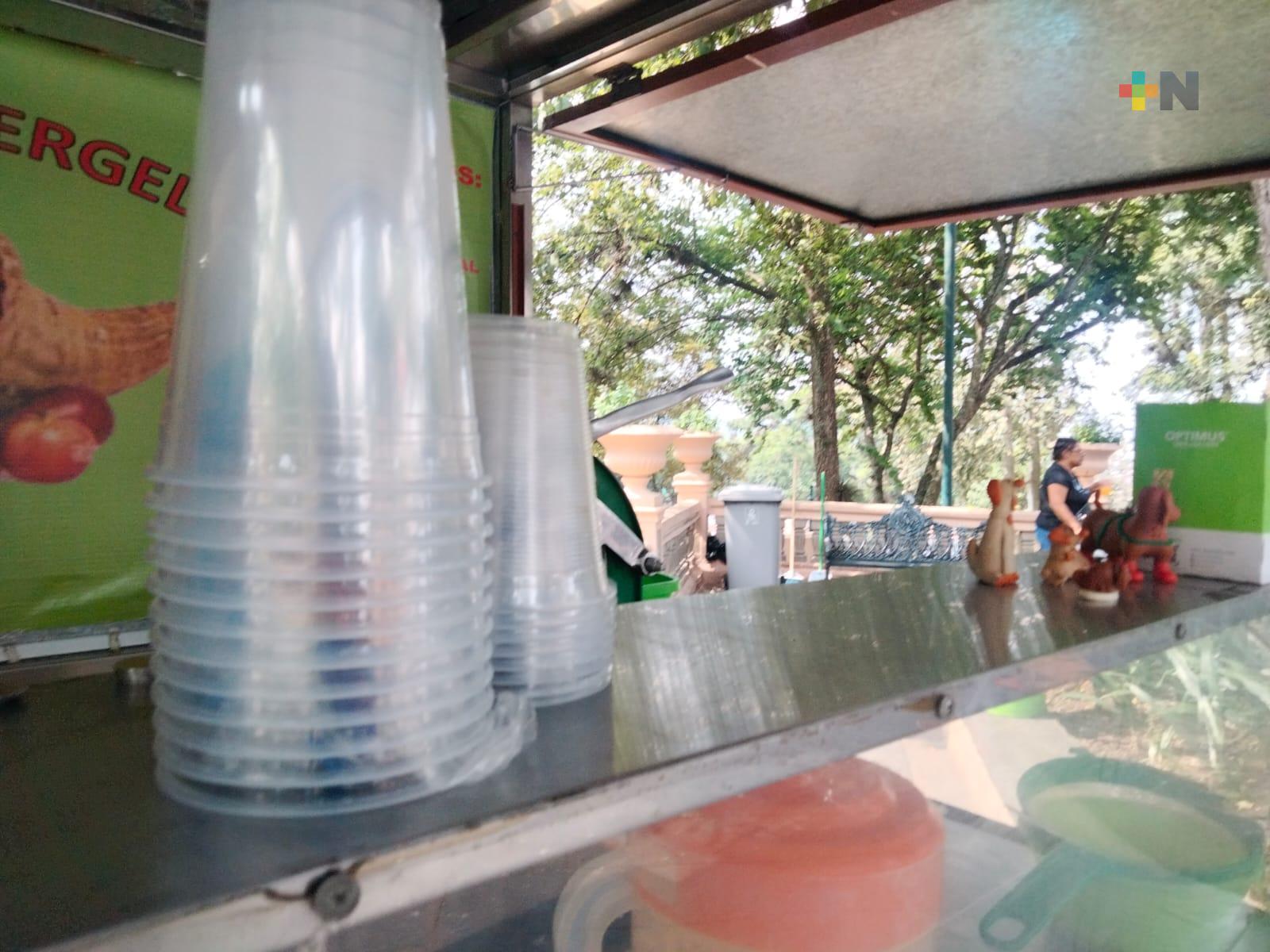 Vendedores del parque Juárez opinan sobre ya no usar plásticos desechables