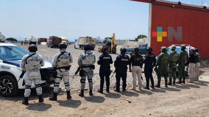 En Hidalgo, GN, Sedena y Fuerzas estatales desmantelan aparente centro de distribución de huachicol