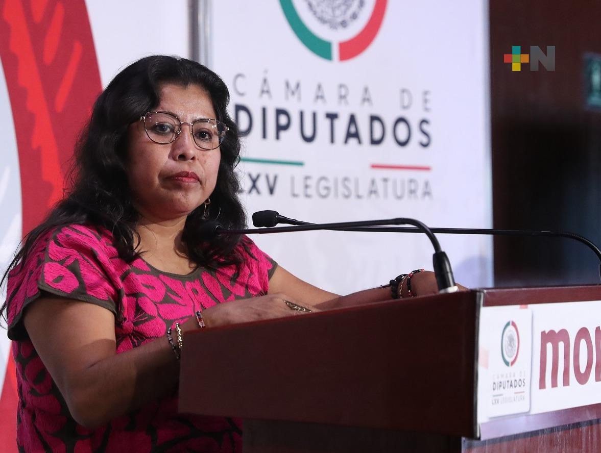 La ASF realiza auditorías condescendientes para encubrir corruptos: Inés Parra