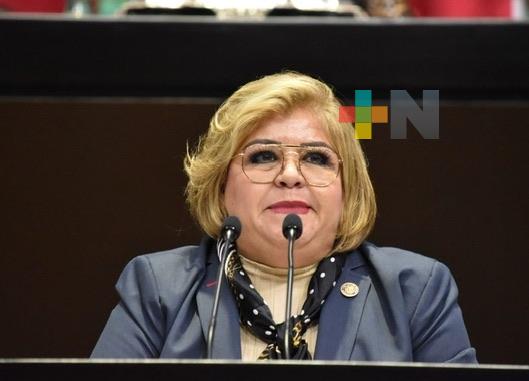 Impulsa diputada preservación de manglares, ante graves amenazas