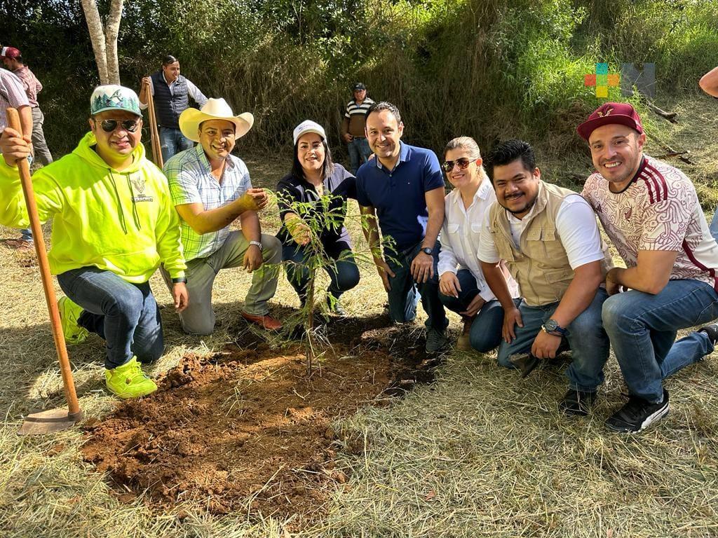 Comprometido el gobierno en resarcir daño ambiental por mancha urbana: Rosalinda Galindo
