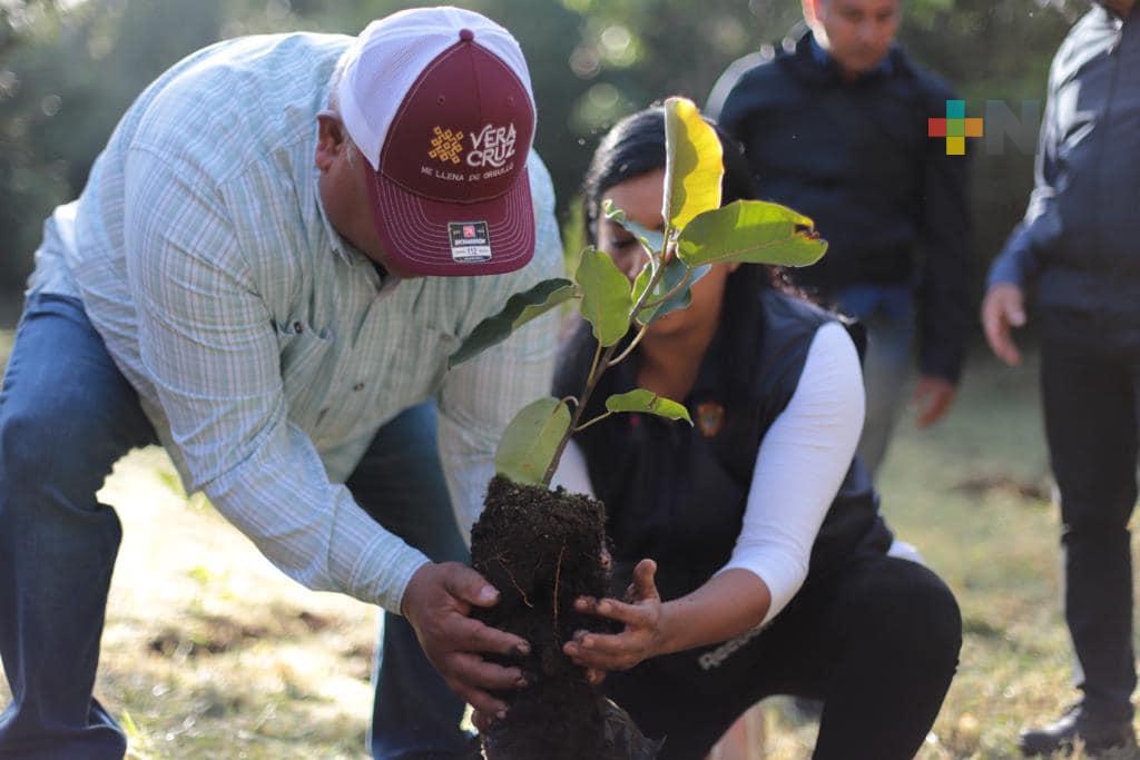 Participa Eric Cisneros en reforestación realizada en el Parque Natura