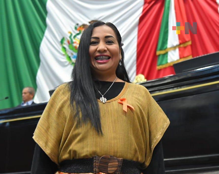En Veracruz se reconoce la contribución de los artesanos: Liliana Castro