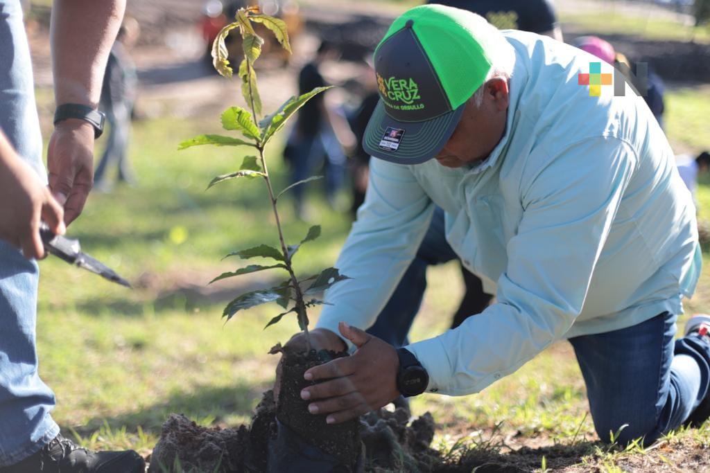 Encabeza Eric Cisneros reforestación en áreas verdes del libramiento Xalapa-Coatepec