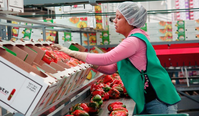 Fortalecen México y Estados Unidos sanidad e inocuidad en el comercio agroalimentario bilateral