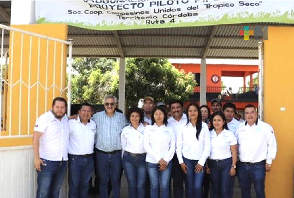 Acompaña Sembrando Vida proyecto productivo de sembradores en Veracruz