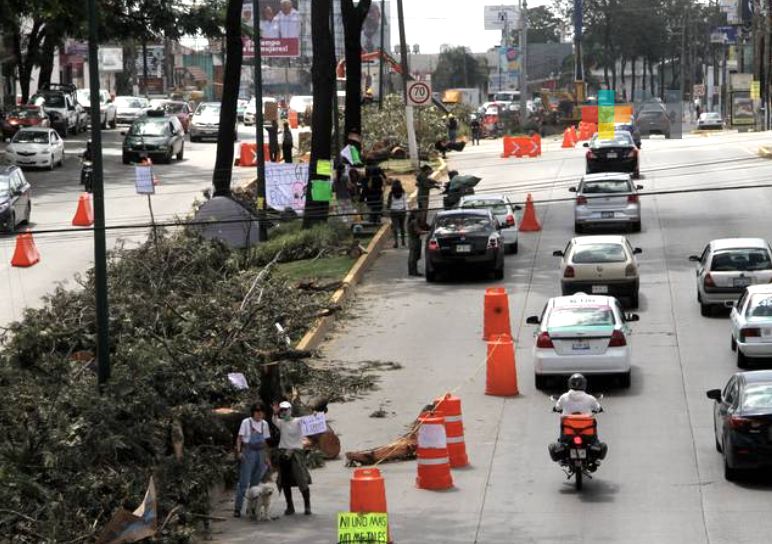 Juez federal suspende obra del puente vehicular en Lázaro Cárdenas