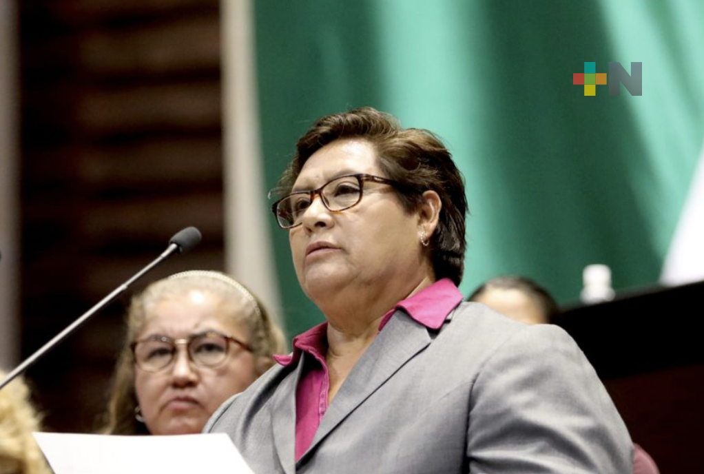 Plantea diputada garantizar a infancias y jóvenes con discapacidad derechos de acceso a espacios públicos