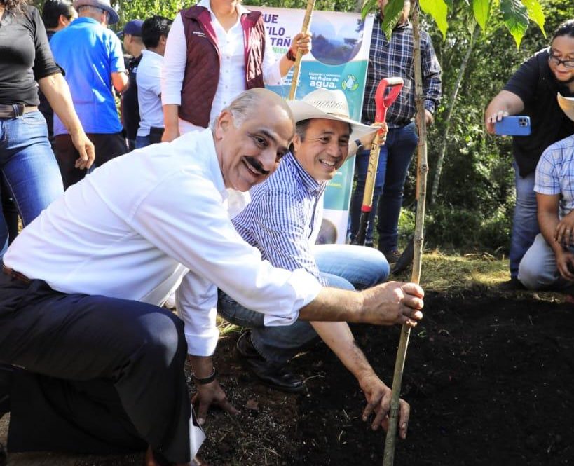 En Veracruz se han producido y dispersado 7 millones de plantas: Cuitláhuac García