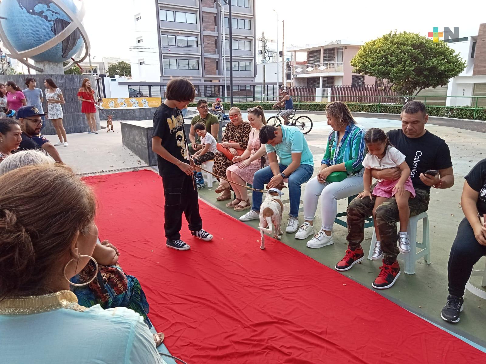 Adoptados cuatro perros en «Desfilando por un hogar»