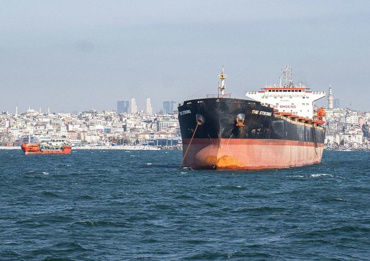 Ataques rusos en Ucrania ponen en riesgo la seguridad alimentaria