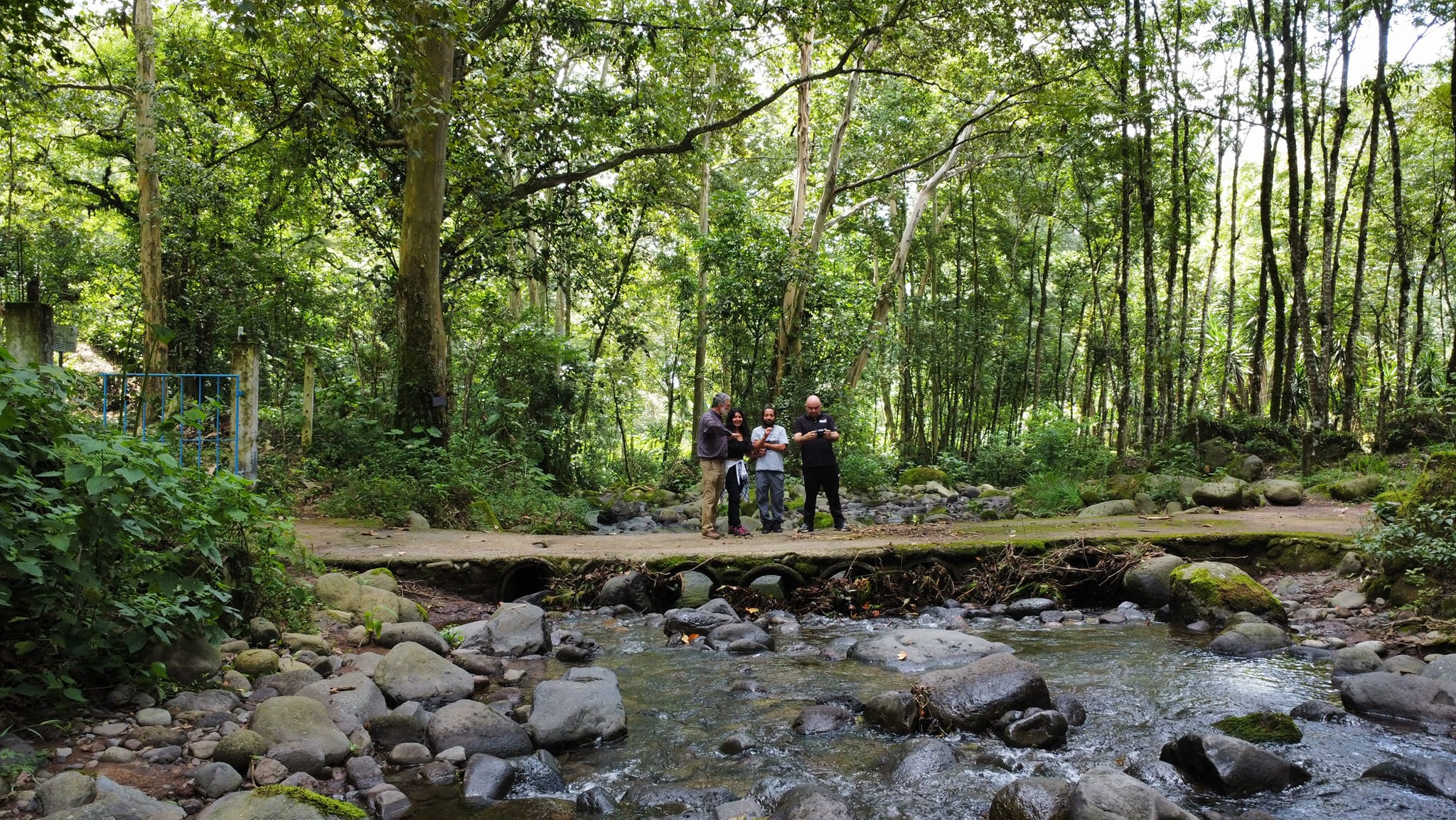 Urge establecer programas para regular el gasto hidráulico y captación de agua de lluvia