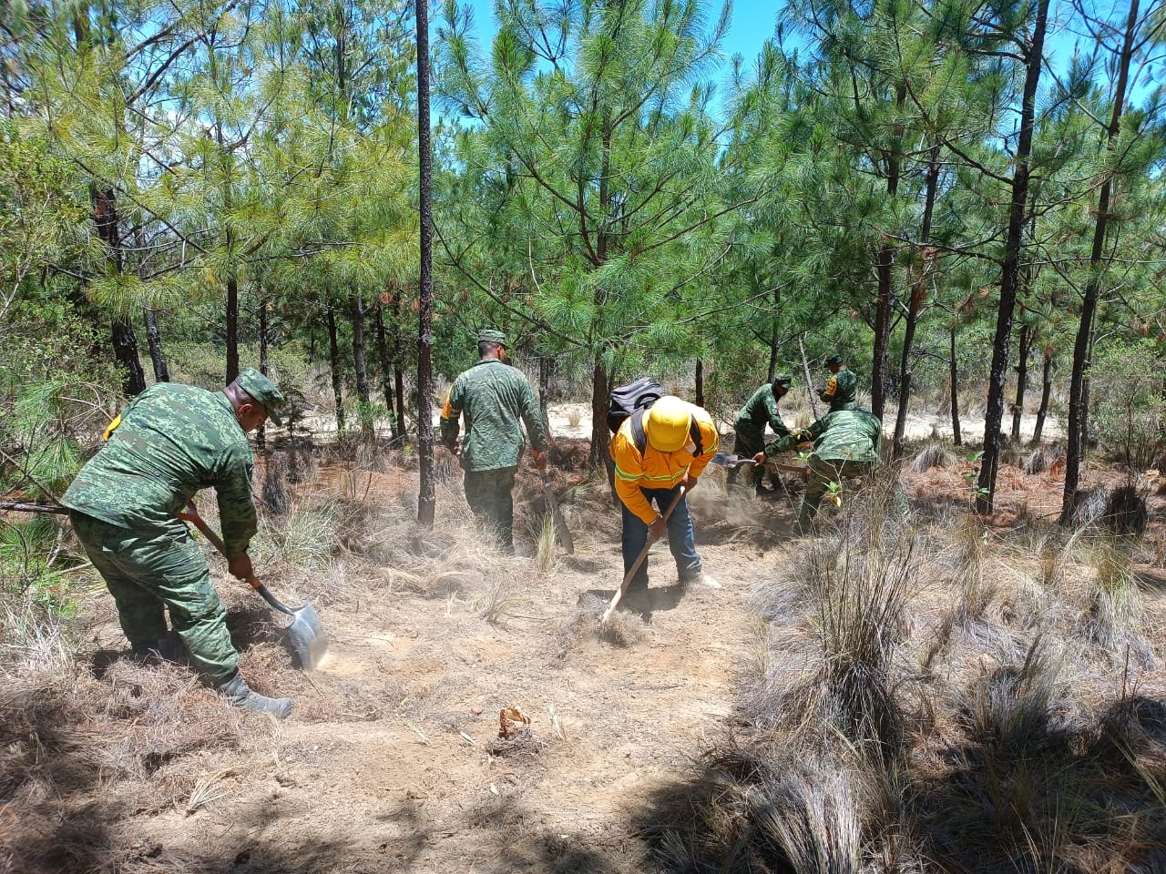 Fuerzas de tarea atienden dos incendios en paraje La Tepecilera