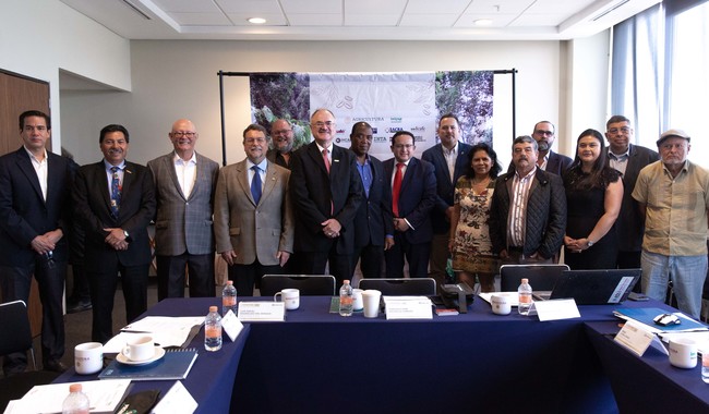 Llama México a fortalecer los sistemas de producción de café