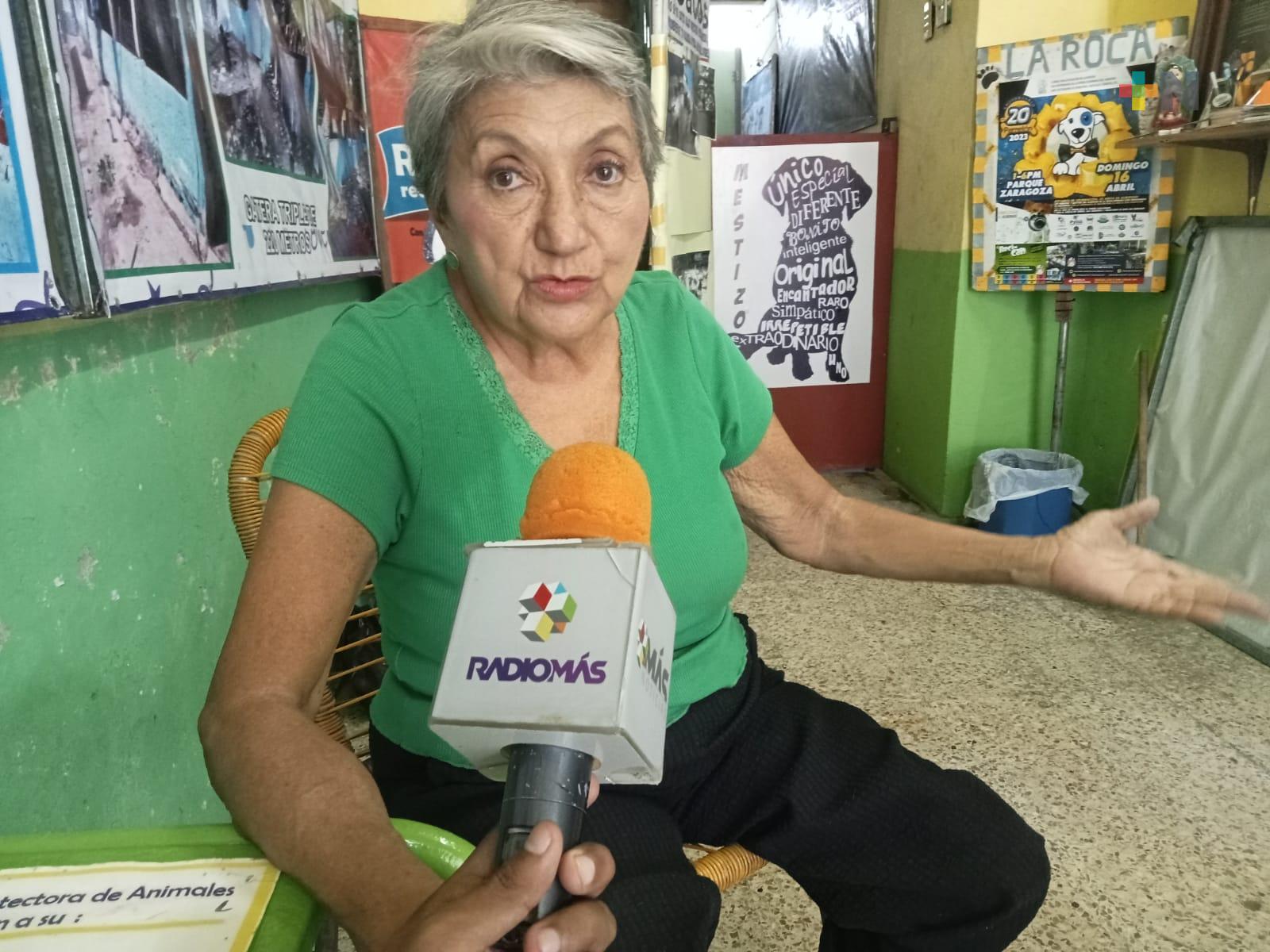 Albergue La Roca sigue recibiendo material de reciclaje