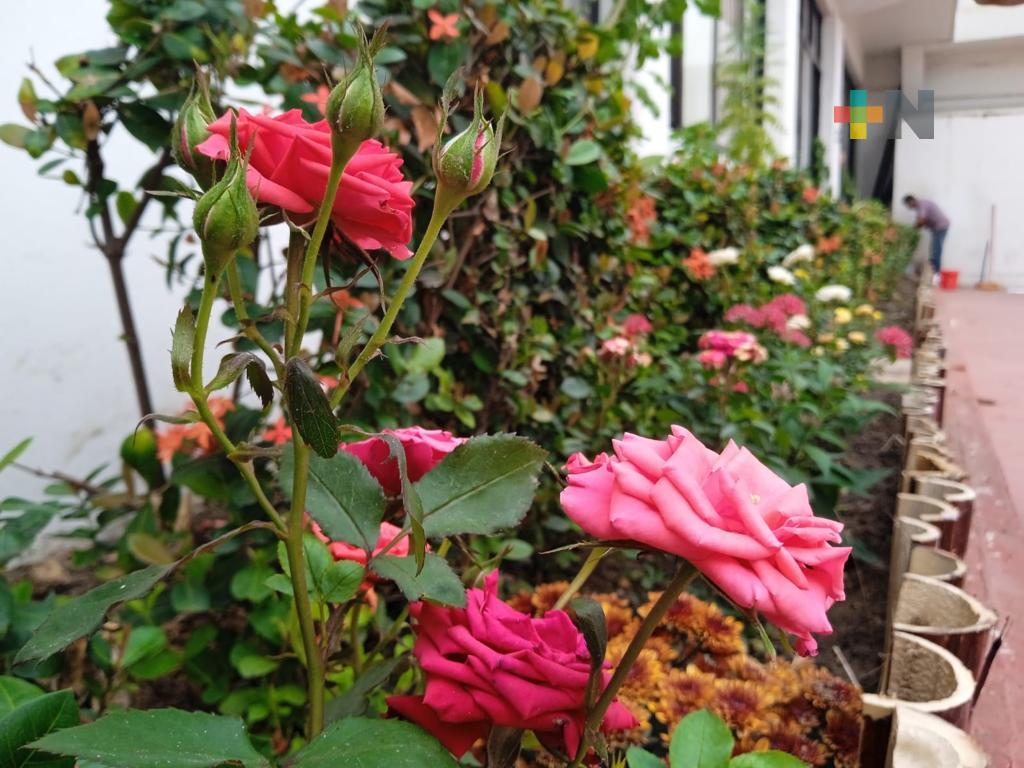 Mejora imagen urbana el municipio de Coatzacoalcos