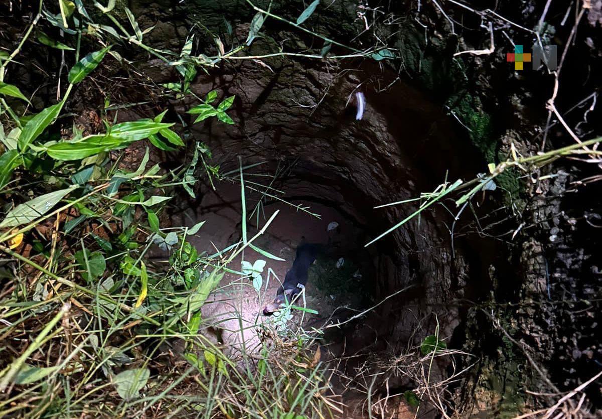 En Cosoleacaque rescatan a perro que cayó en pozo; estuvo atrapado por más de 12 horas