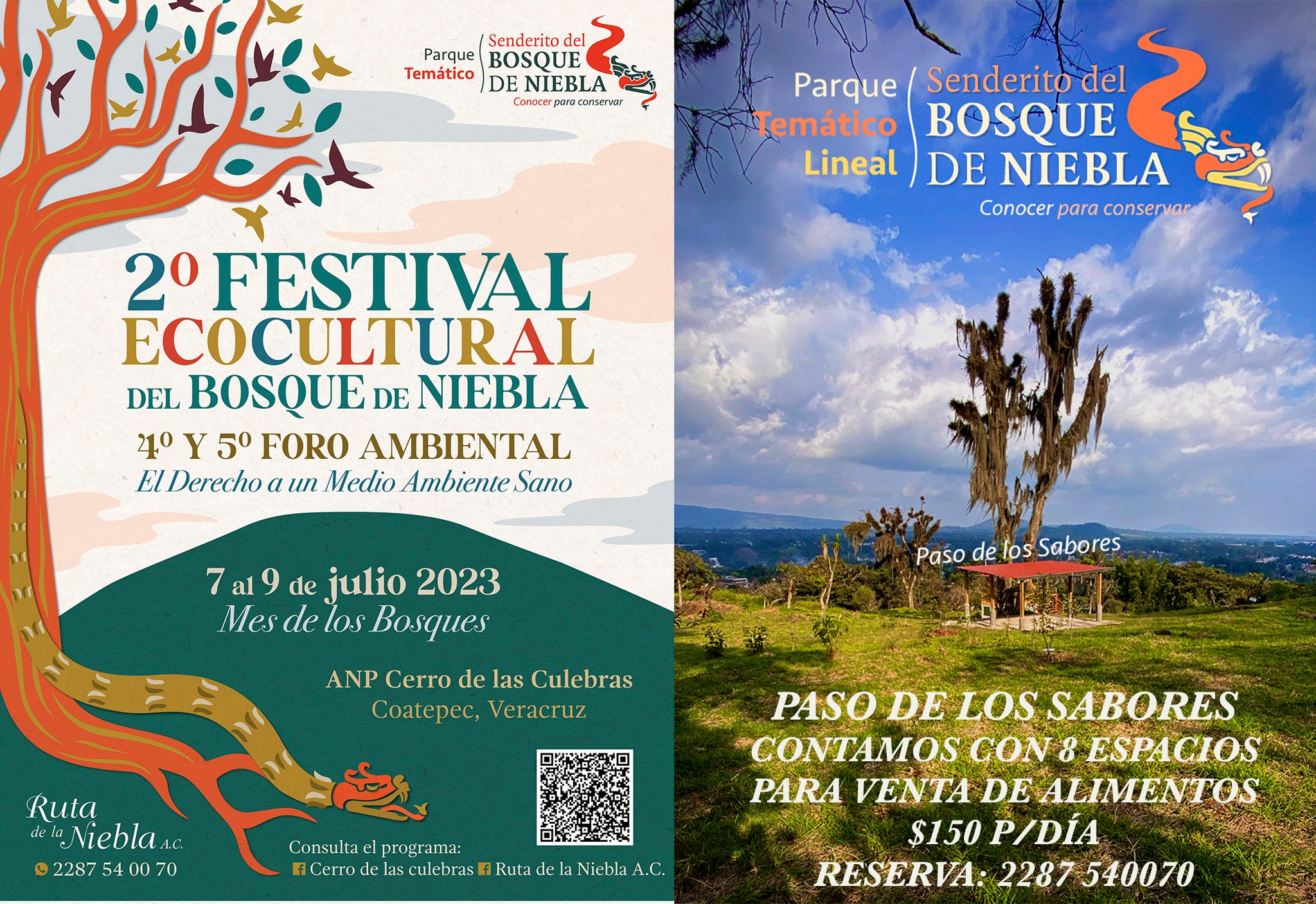 Cerro de las Culebras, sede del segundo Festival Eco Cultural del Bosque de Niebla